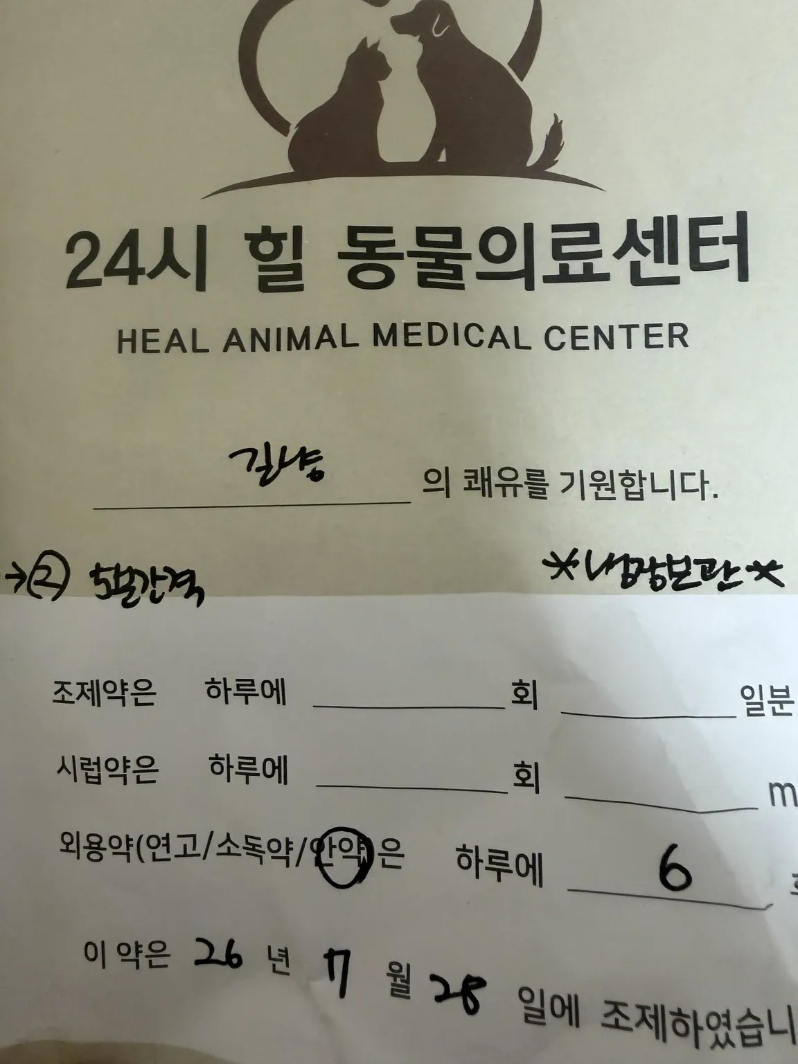 구조 직후 24시 동물병원에서 받은 새끼 고양이 안약 처방 안내서